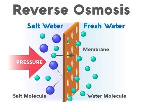 What is Osmosis?